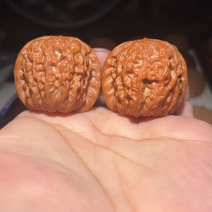 木39.5平谷血麒麟。