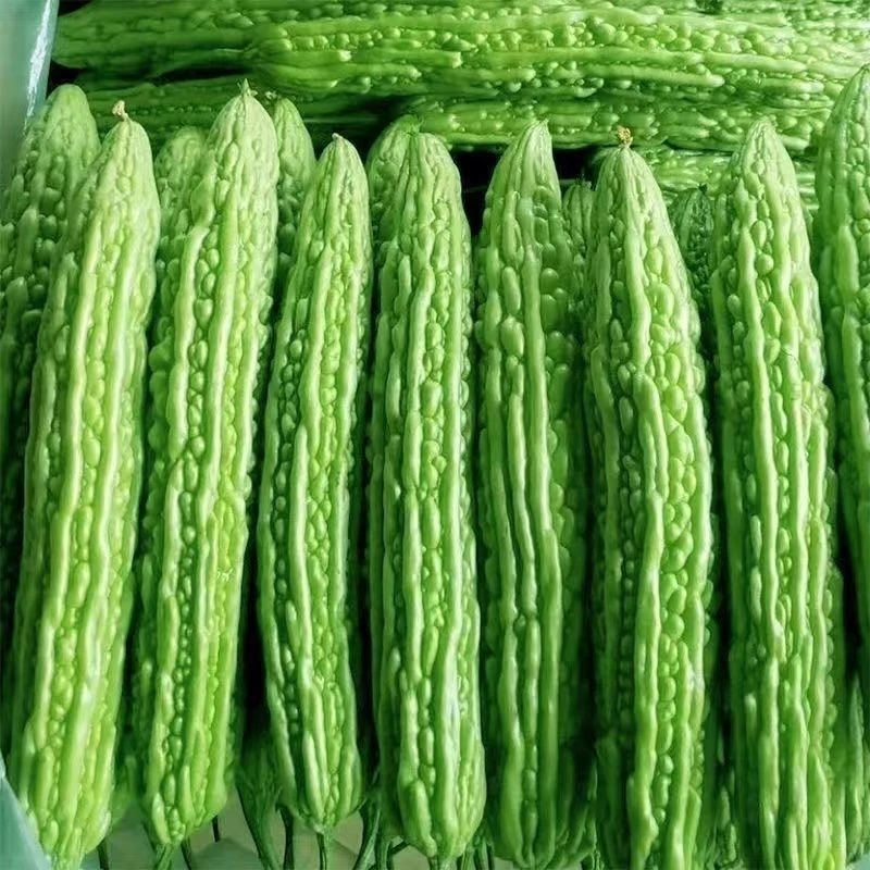 【川果域】山东潍坊苦瓜3斤4-9根/5斤9-15根