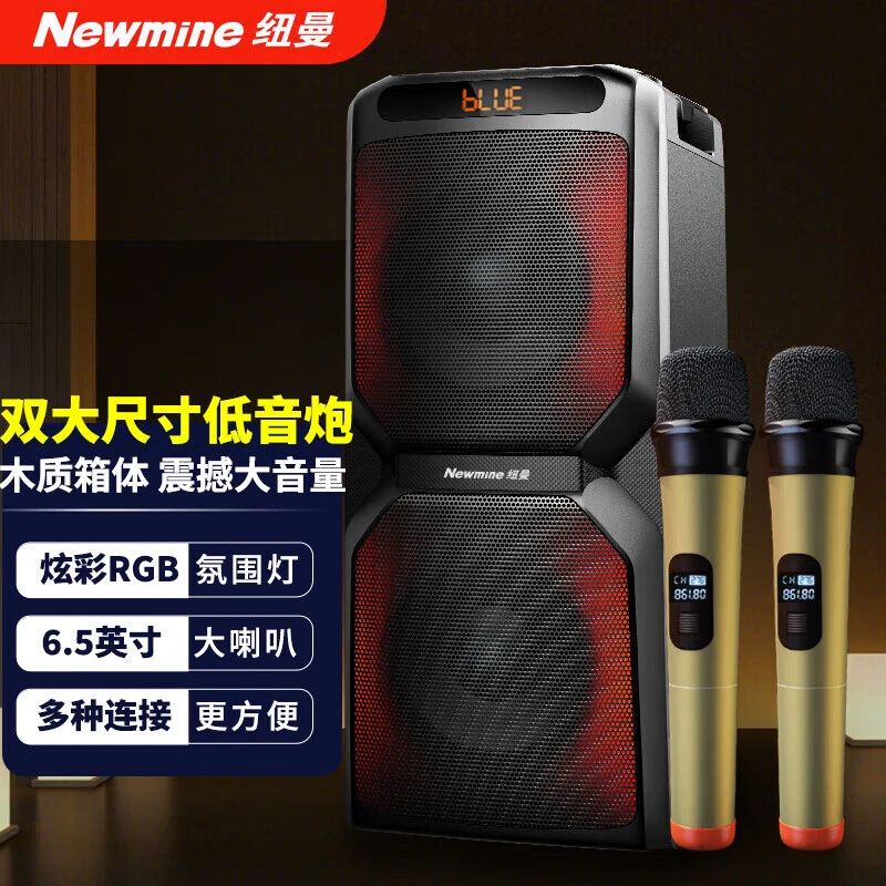 纽曼蓝牙大功率户外广场舞音箱家用商超双6.5吋喇叭低音炮麦克风