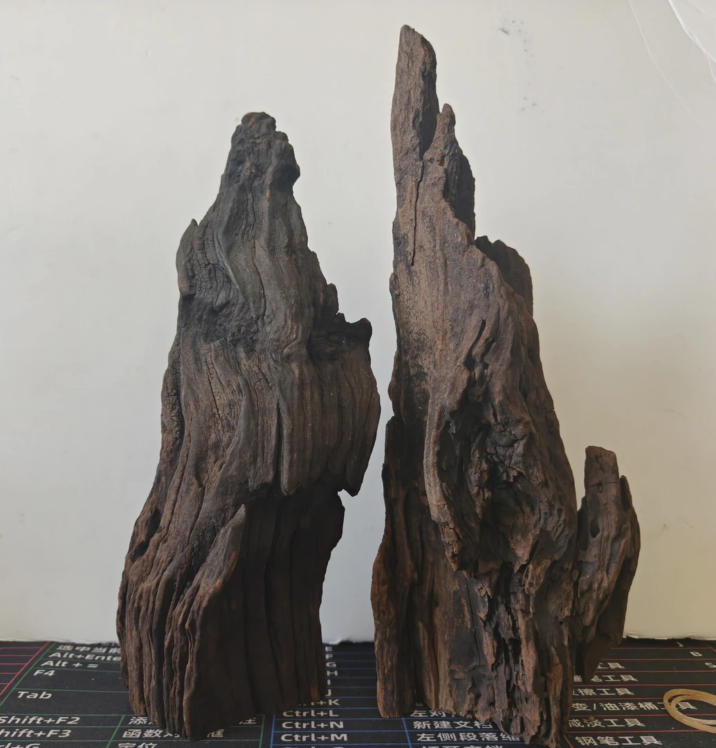 【景沐沉木】小型鱼缸精品紫柚木秒沉小沉木南美缸造景一木成景