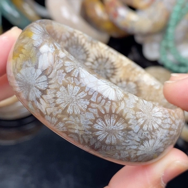 未镶嵌手镯（圆镯）硅化玉