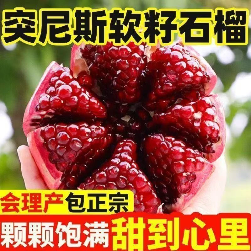 四川会理软籽石榴突尼斯石榴应季水果爆甜多汁新鲜采摘石榴xz