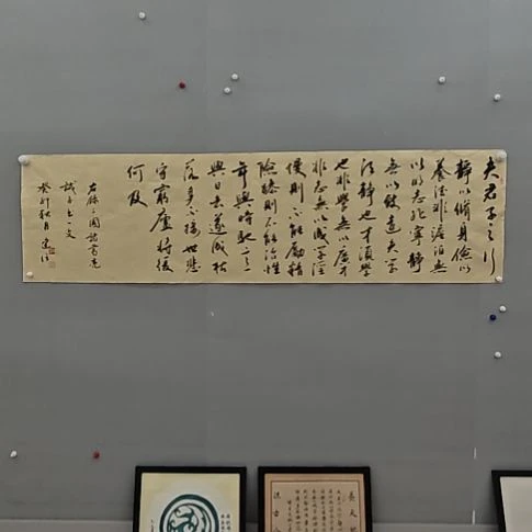 铁建信老师精品书法作品微瑕