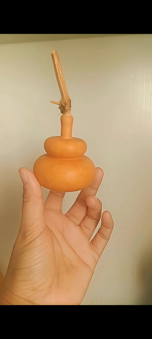 葫芦进家 福禄进家