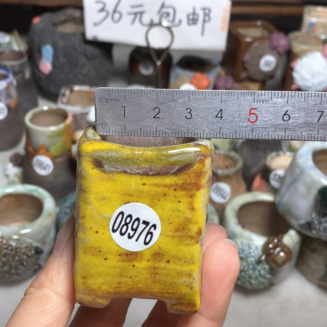 拍5送一个小礼物