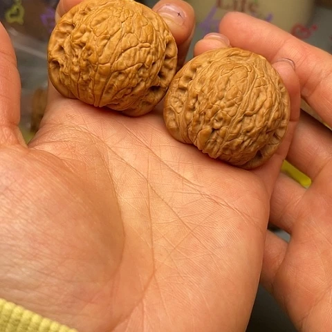 一****8绣球绣球练手对绣球