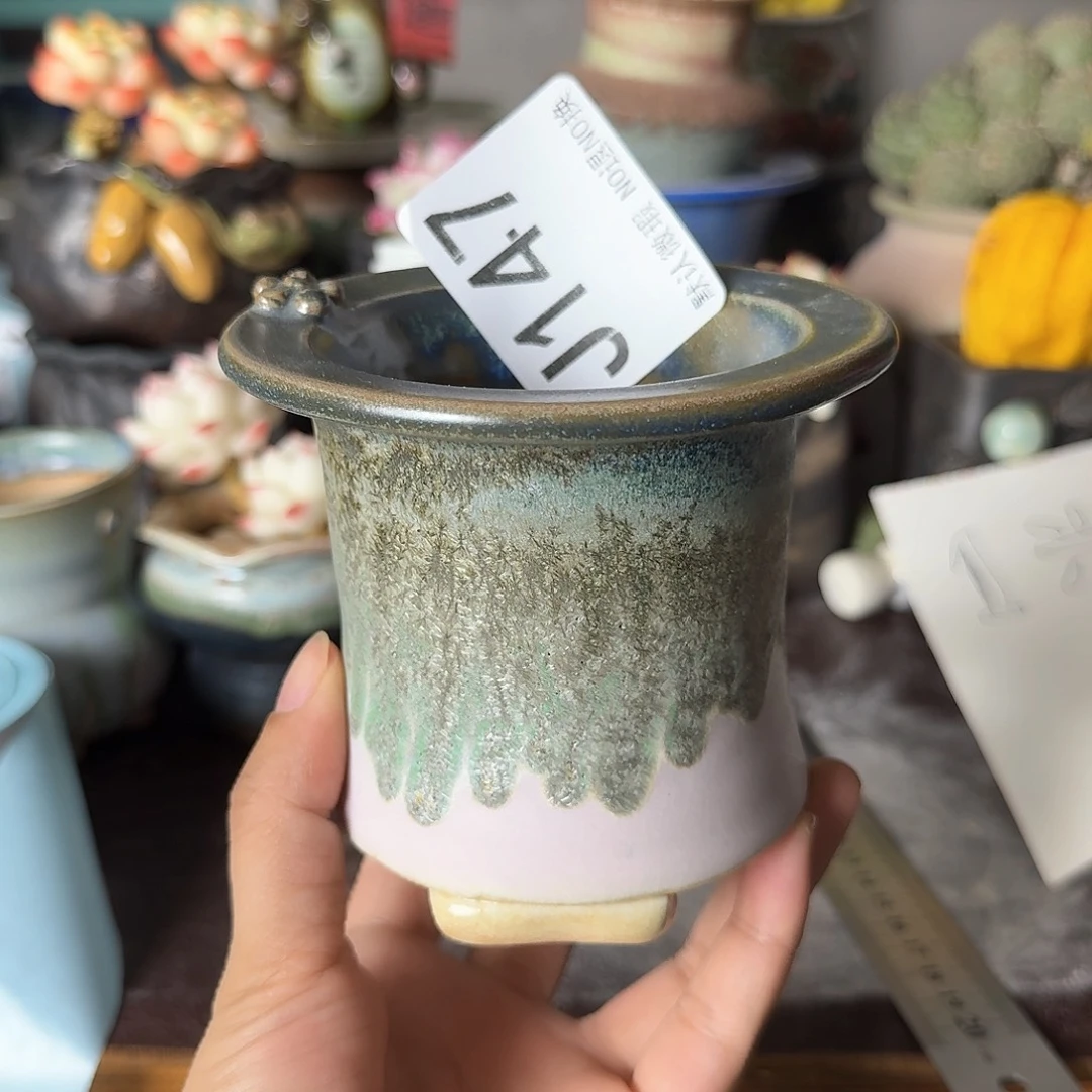 重庆小燕子欢迎大家147