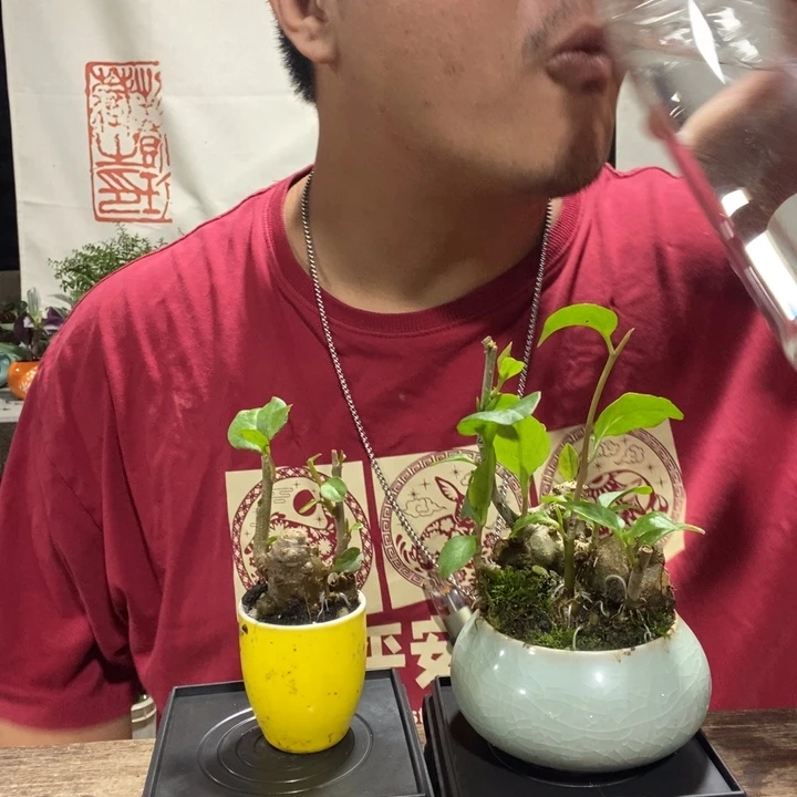 一物一拍所见即所得207