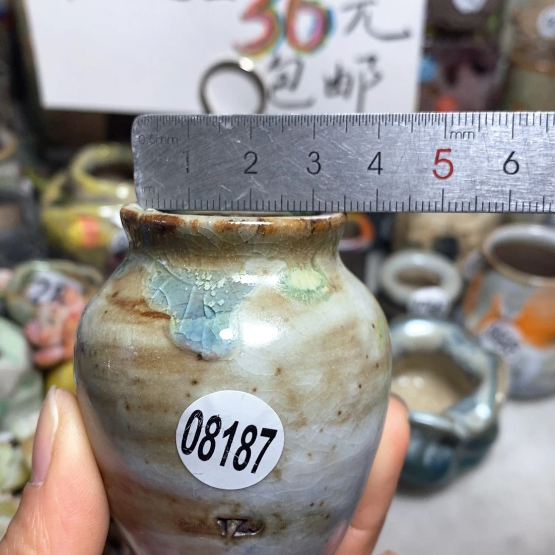 花盆拍5送一个小礼物