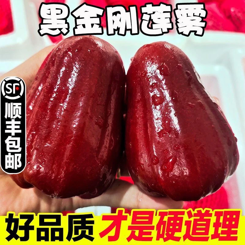 海南莲雾新鲜现摘多汁清甜可口热带水果顺丰包邮整件批发4 斤水果