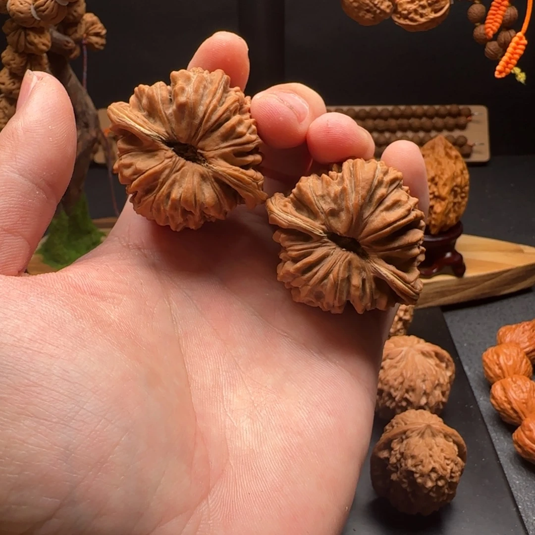 核桃四座楼全品无修