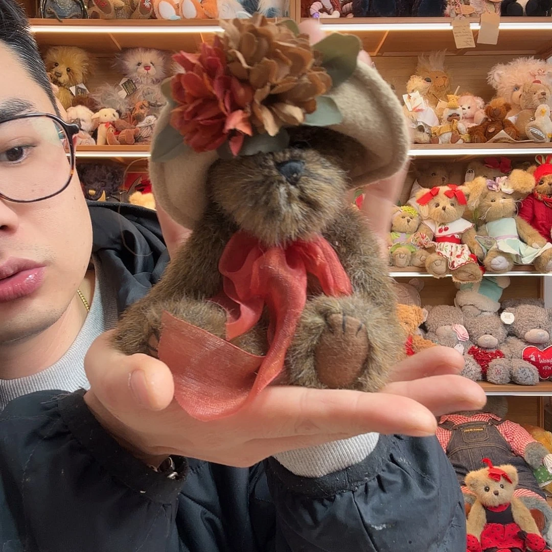 花****毛绒棕色戴帽子boyds