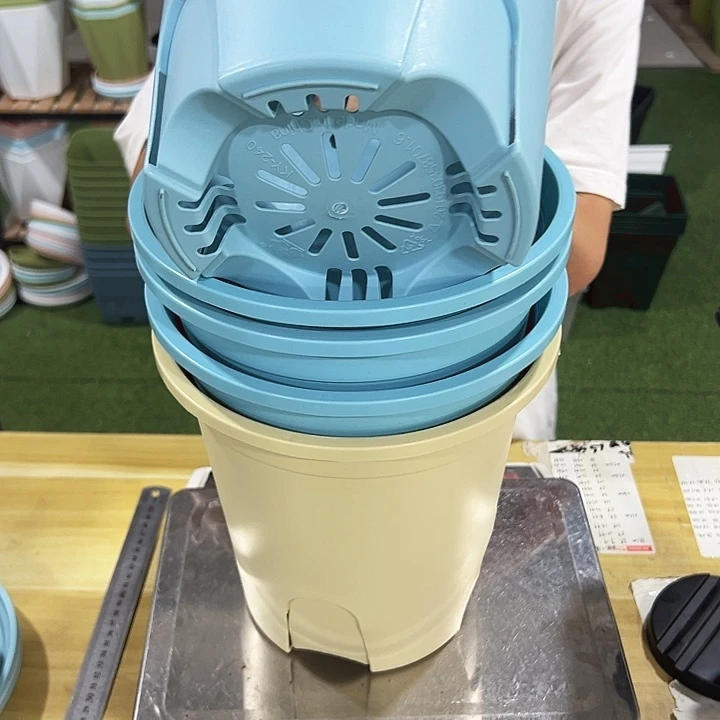 特价圆控口24高24混色无托5只