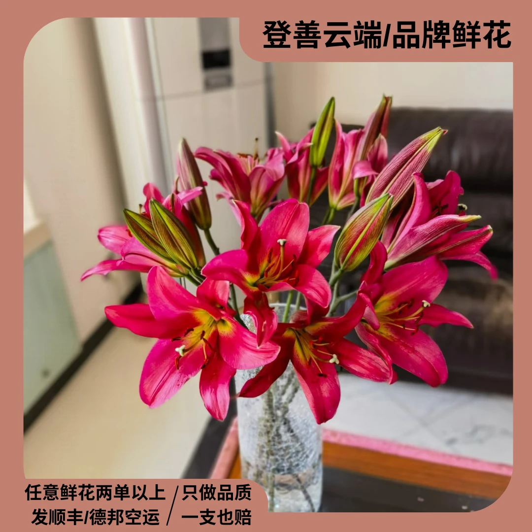 【火石】精选火石香水百合家居摆放插花云南鲜花优质鲜切花水培鲜花