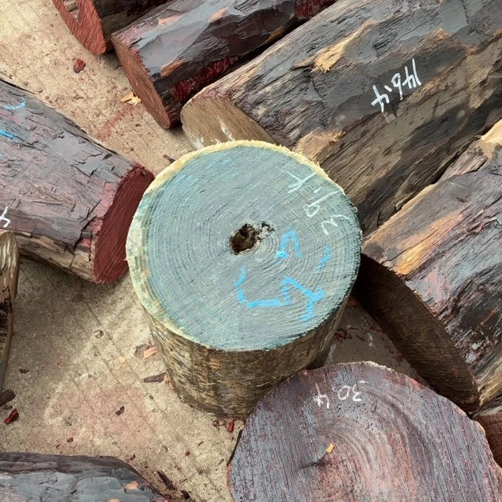 绒质赞比亚血檀56789