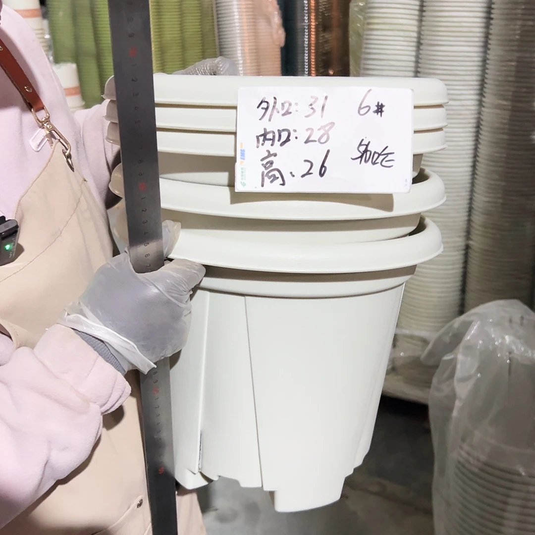 青山盆6#米白色6个无托