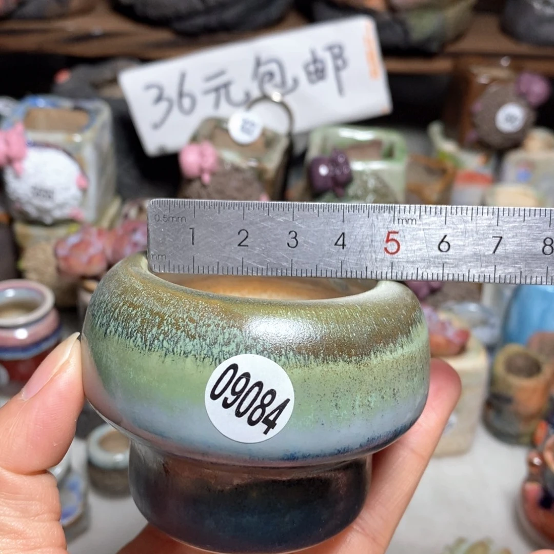 拍5送一个小礼物