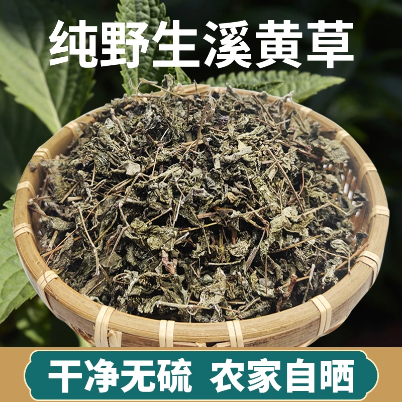 广西野生溪黄草茶新货溪黄草农家自然晒干溪黄草泡水泡茶泡酒包邮