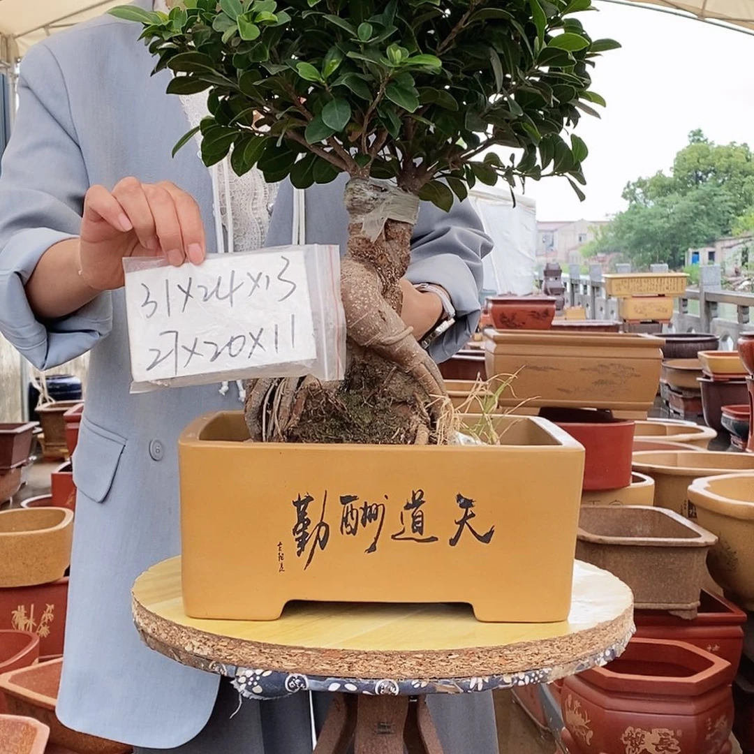 紫砂花盆紫砂花盆