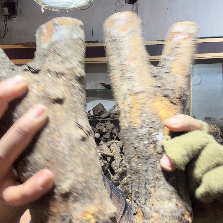 弹***发火琉璃的故事是一个人