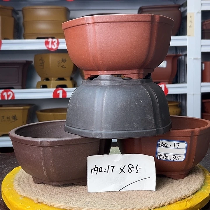 紫砂花盆蛇年大吉