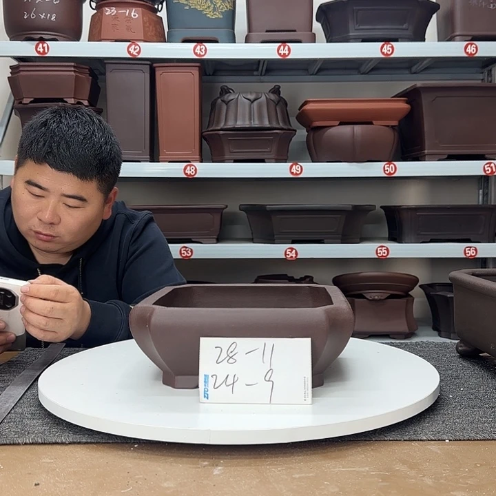 花盆紫砂这是什么