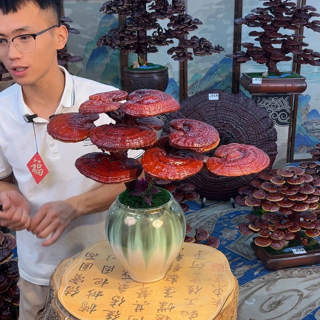 无花朵888888888888