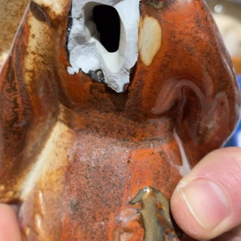 【闪购商品】摆件L****光摆件摆件摆件摆件摆件不