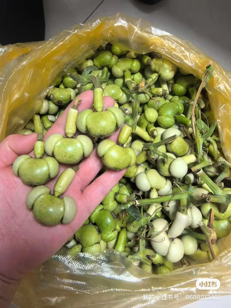 米奇葫芦异性葫芦手把葫芦