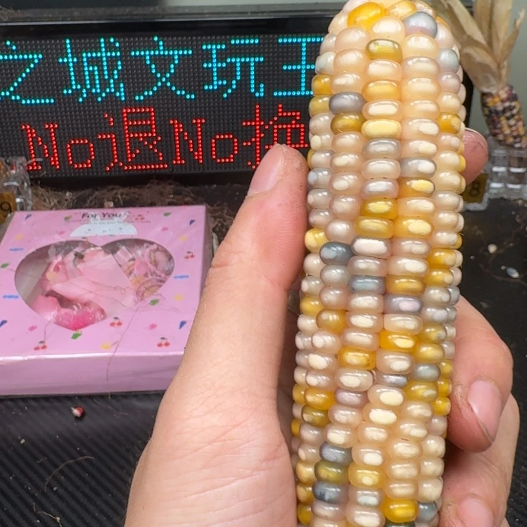 柏香籽/百香籽吊坠念*