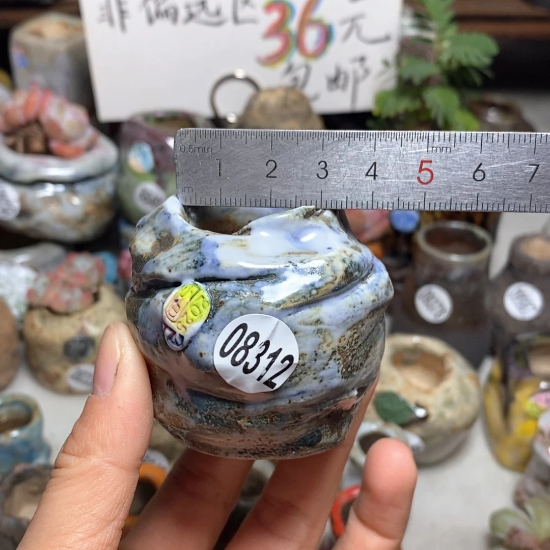 花盆拍3送一个小礼物