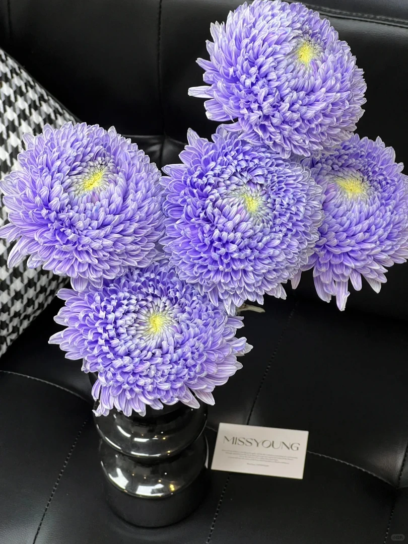 【牡丹菊】小花精选新鲜现发