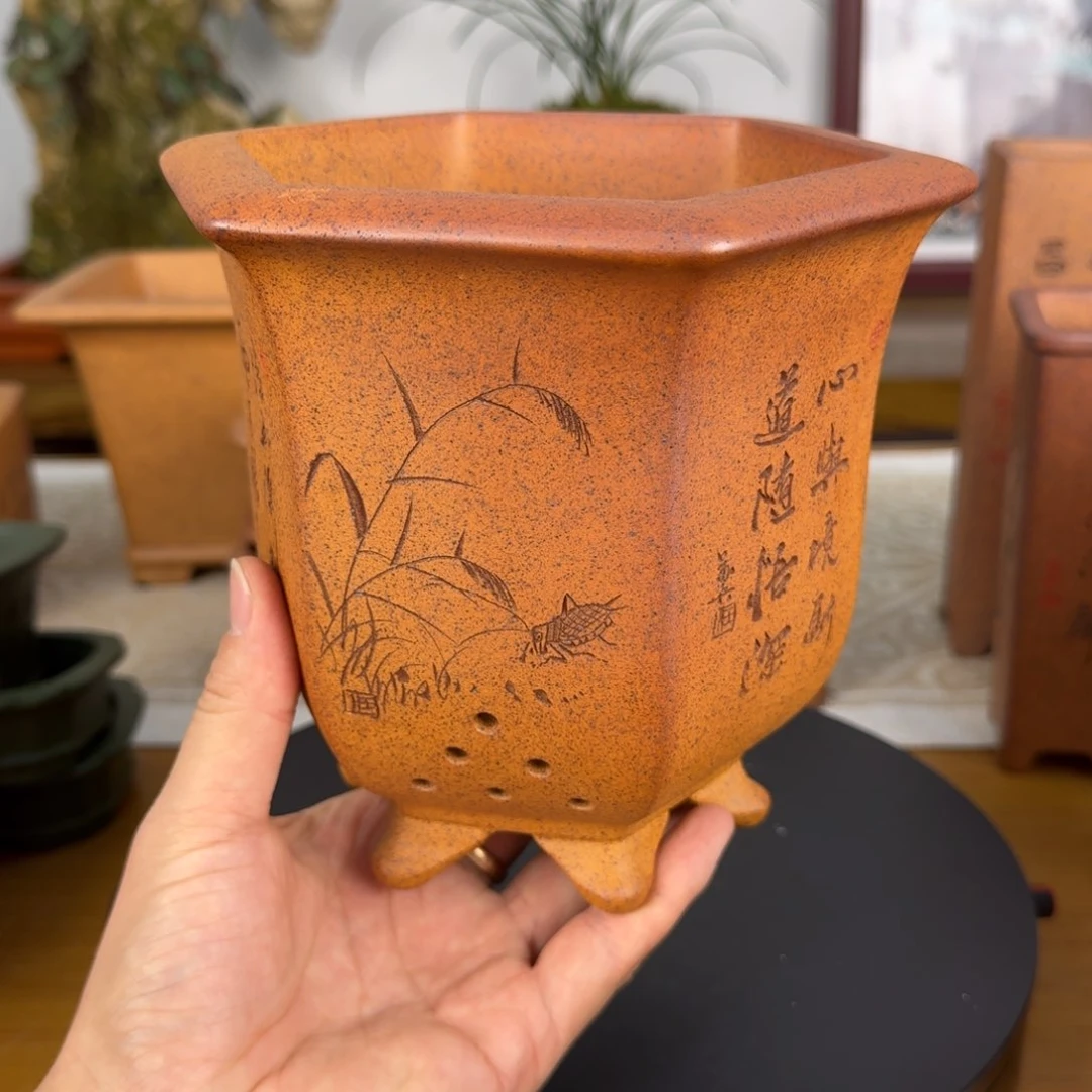 紫砂花盆步**生紫砂花盆