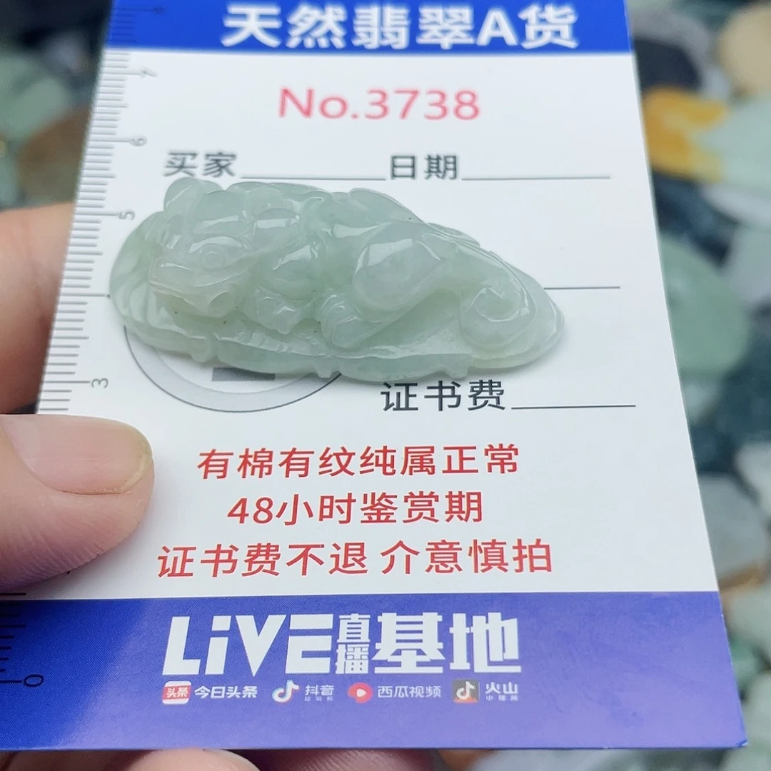 翡翠未镶嵌挂件3738