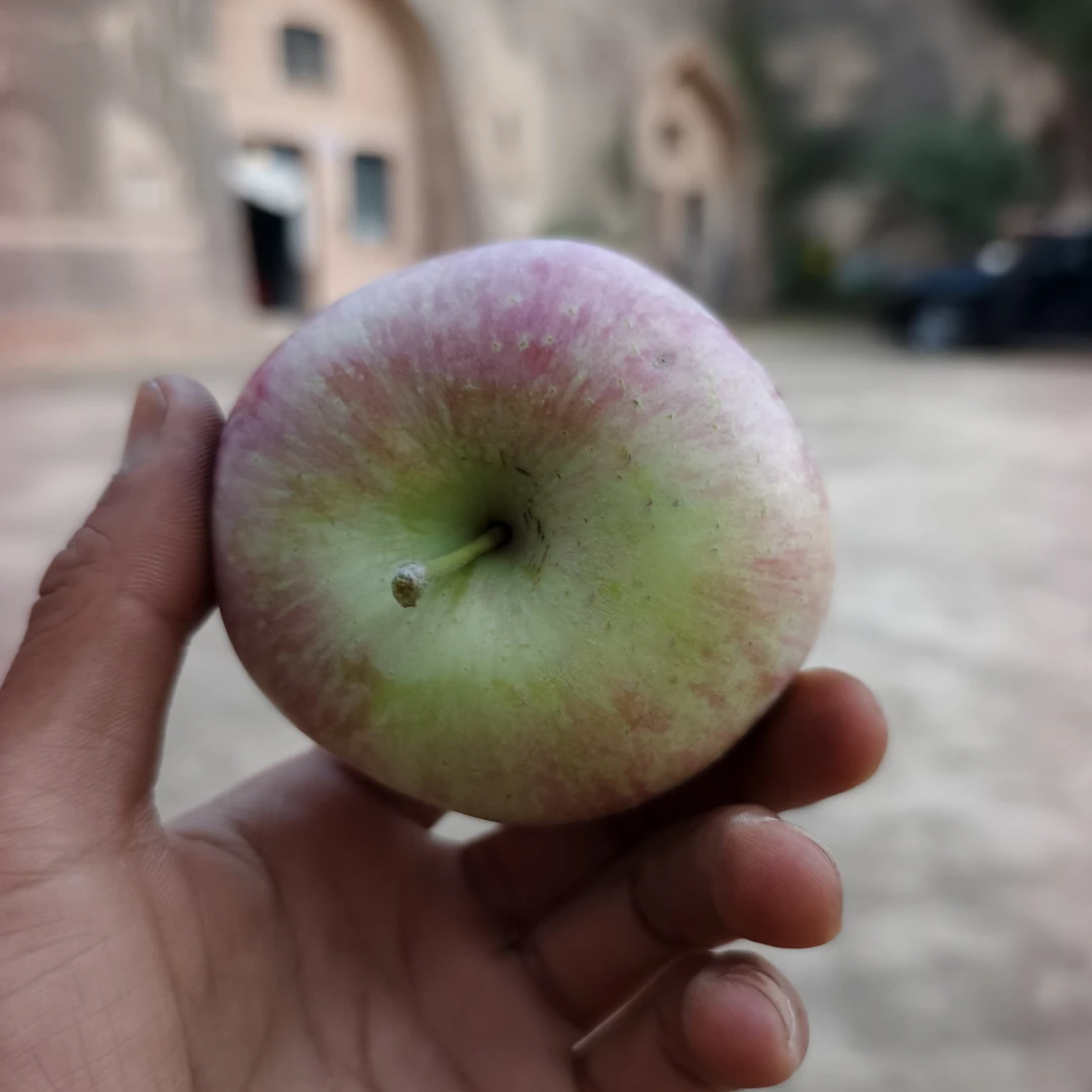 【次果小果有疤】介意勿拍带箱6斤贵在快递