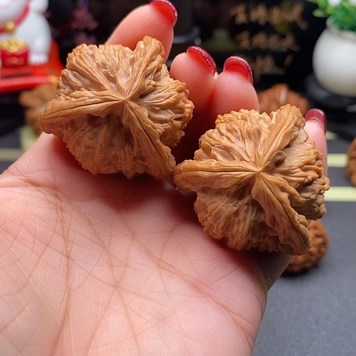核桃39拼接白狮子