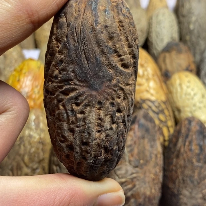 小***⁺吊坠千眼菩提菩提