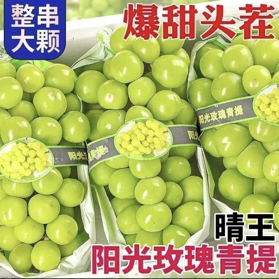 正宗阳光玫瑰葡萄新鲜应季无籽脆甜多汁带玫瑰香现摘现发