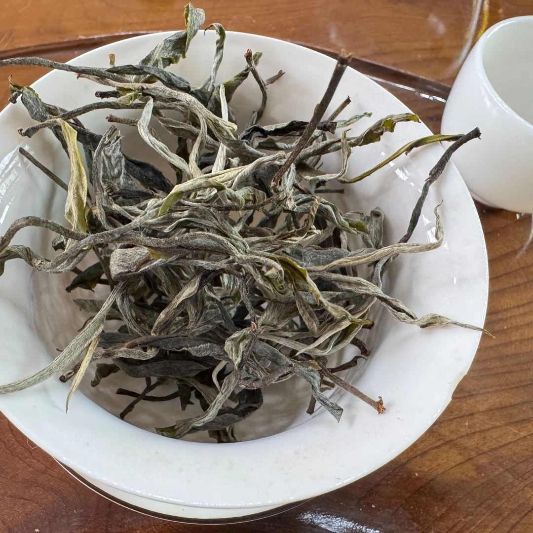 2023年绿水塘多株普洱茶