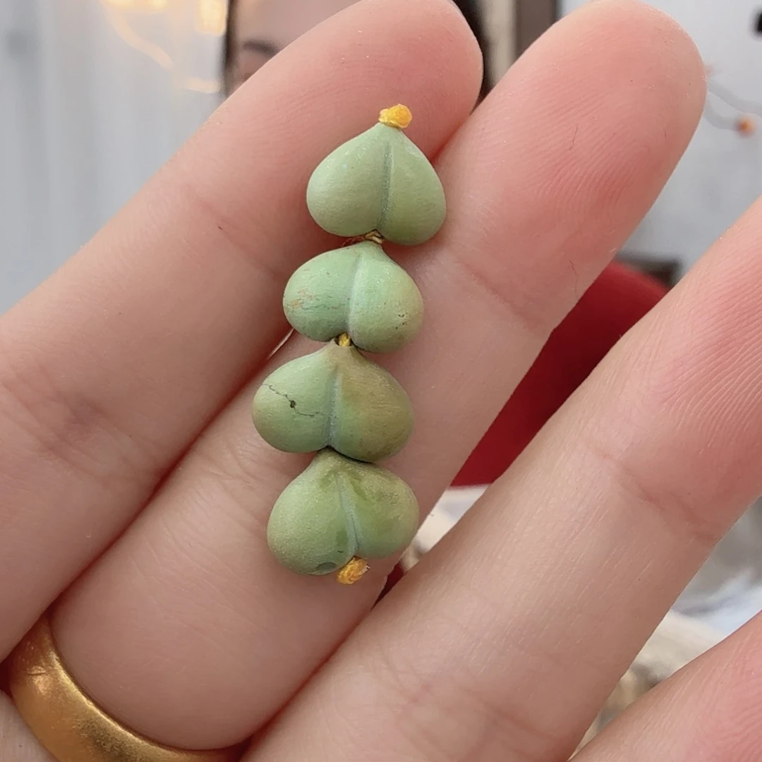 绿松石未镶嵌珠宝半成品
