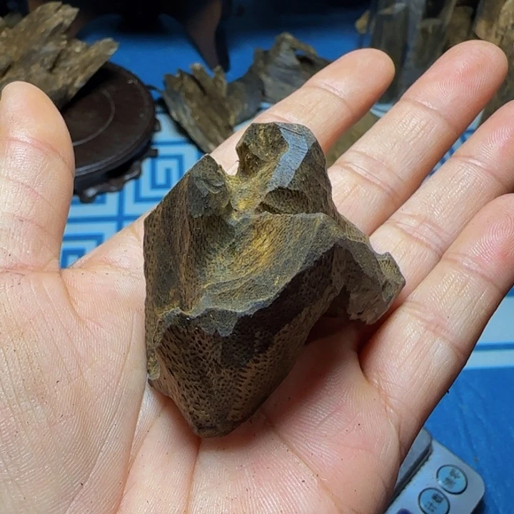 木质母树虎斑包头11克