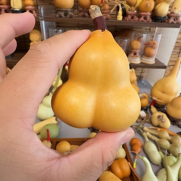西***后双胞胎连体葫芦闪拍