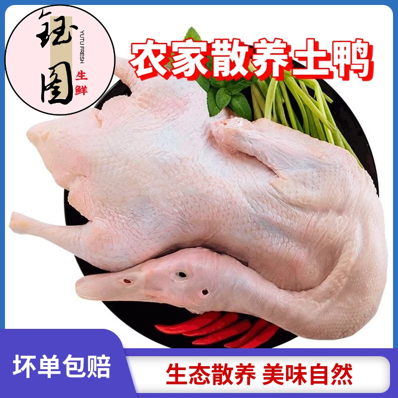 农家散养新鲜速冻去翅去掌土鸭