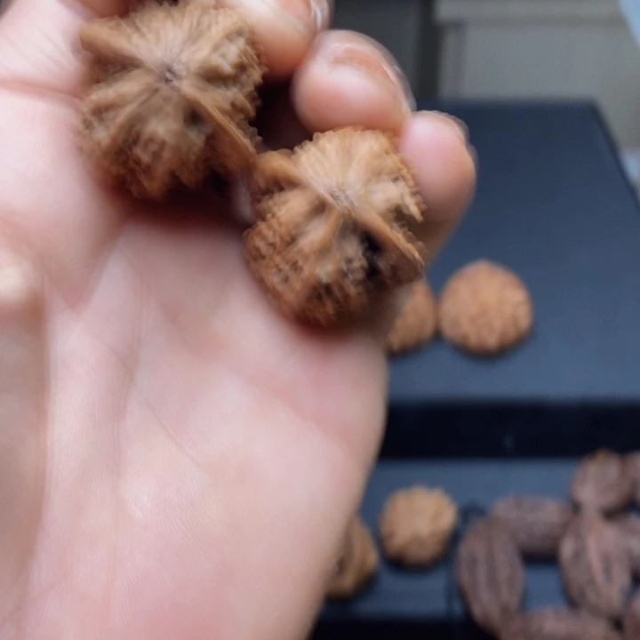 把件文玩核桃核*秦岭野生宝水秦鸡