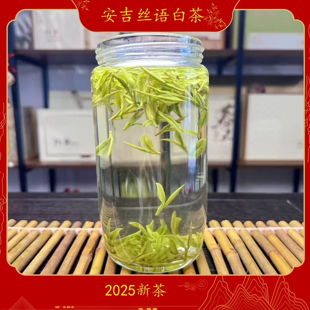 2025安吉母品极白天荒坪原产地白茶鲜爽正味浓兰香送礼明前茶绿茶
