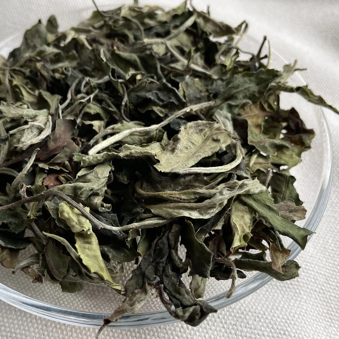 【3月8号】2021邦东黄金叶生茶357克【009号王丽】