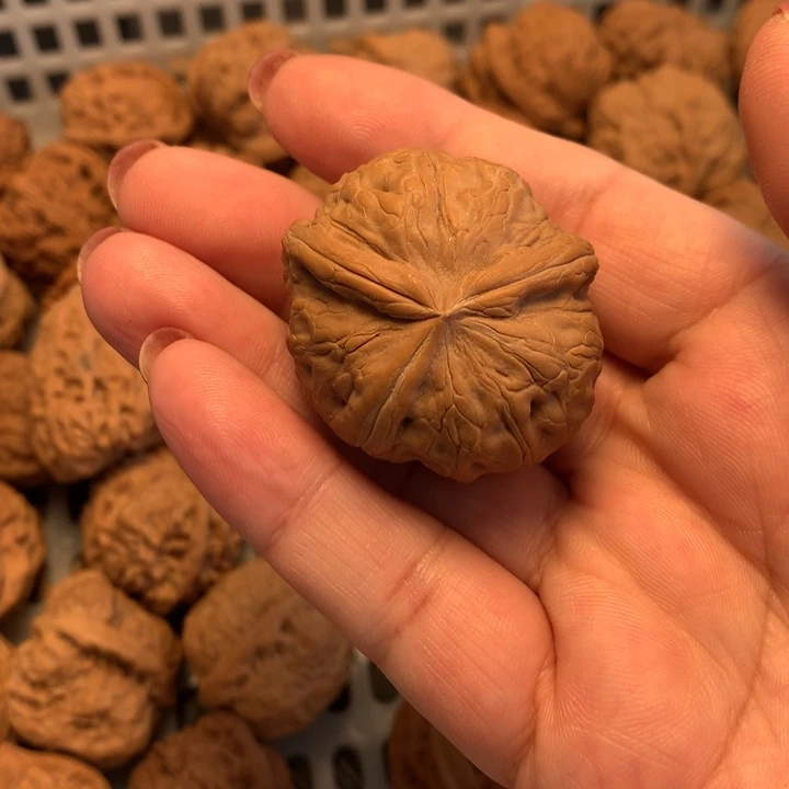 *****文玩核桃吊坠元宝……