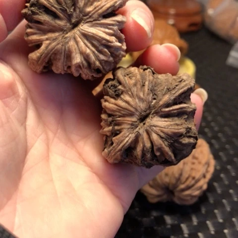 吊坠文玩核桃12号楼40尺落地红