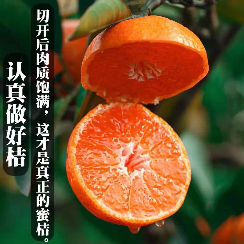 年货临海涌泉正宗高山蜜橘 无核橘子孕妇小孩果蜜桔当季现摘礼盒