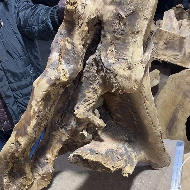 乌木类路****夜金丝楠木小叶